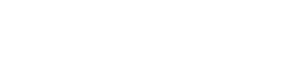 Derome_logo_vit